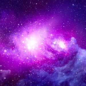 Meet your Posher, Amir